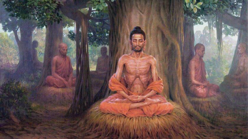 Yogi Free To Use
