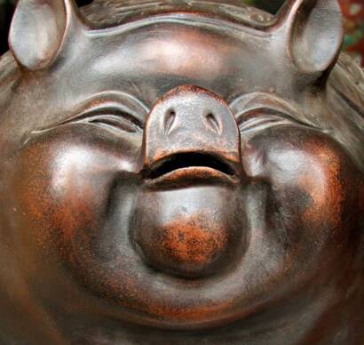 How To Take Birth As A Pig