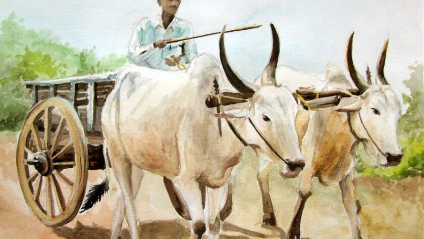 Swamiji Pick Bullock Cart 02